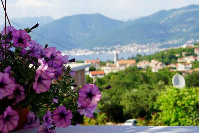 Апартаменты Apartments Bella Vista Тиват-35