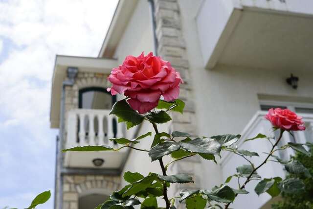 Апартаменты Apartments Bella Vista Тиват-37